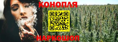 гидропоника Обнинск