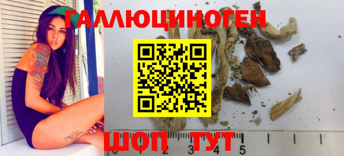 Галлюциногенные грибы мухоморы Шатура