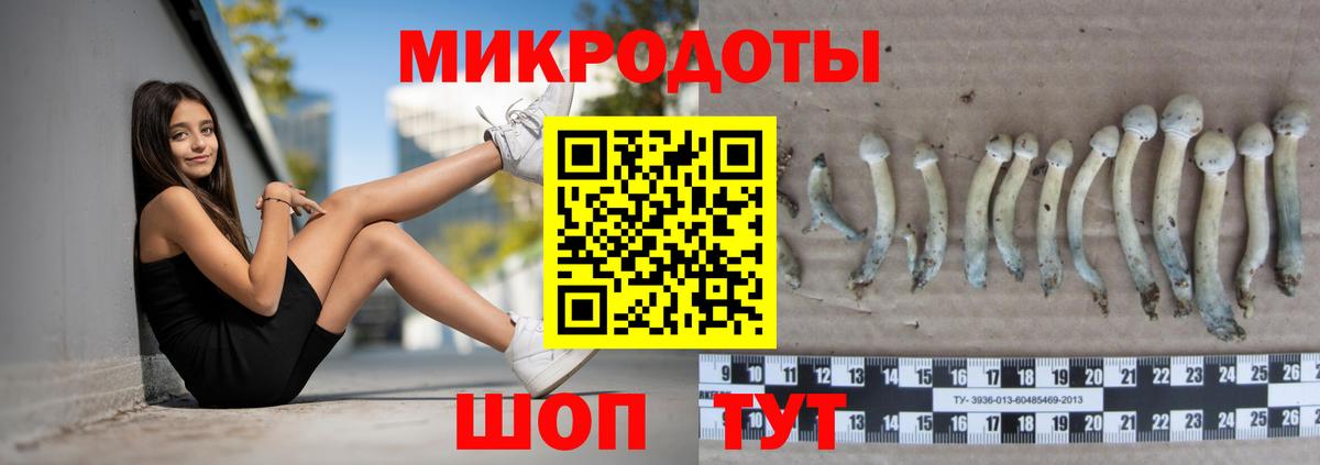 A-PVP Шатура