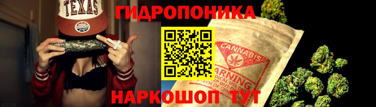 Марихуана гибрид Шатура